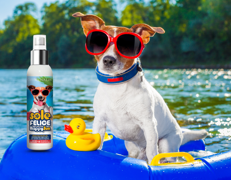 Campanelli A Vento Solari Con Luci LED Che Cambiano Colore, Decorazione Per Giardino, Patio, Esterni – Impermeabili, Ricarica Solare