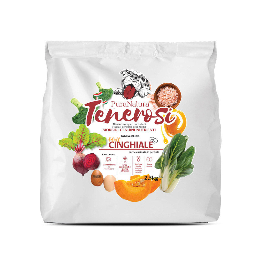 TENEROSI CINGHIALE