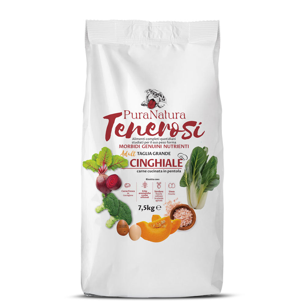 TENEROSI CINGHIALE