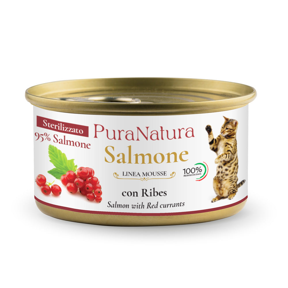 STERILIZED SALMON WITH CURRANT MOUSSE - Multipack 24x85g