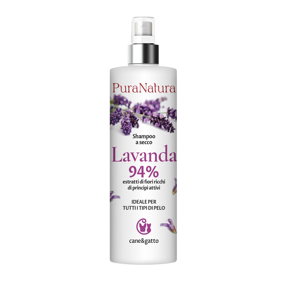 LAVENDER DRY SHAMPOO