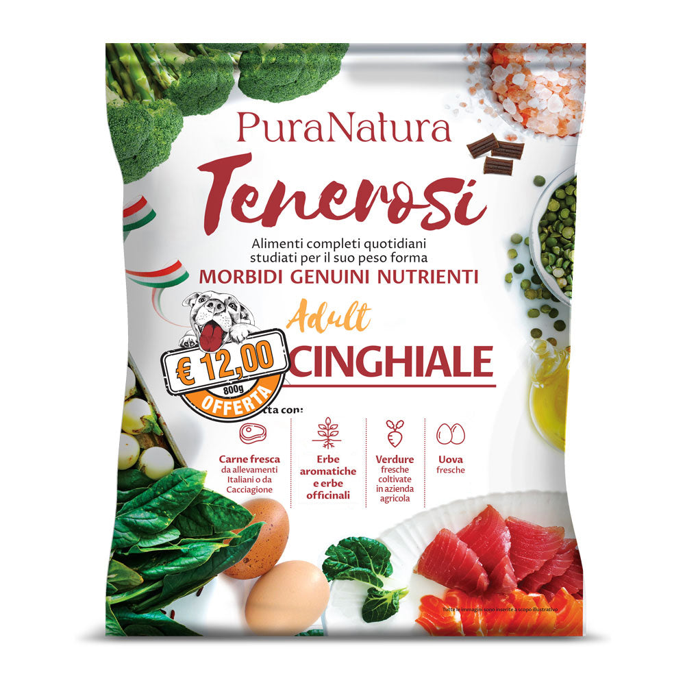 TENEROSI CINGHIALE