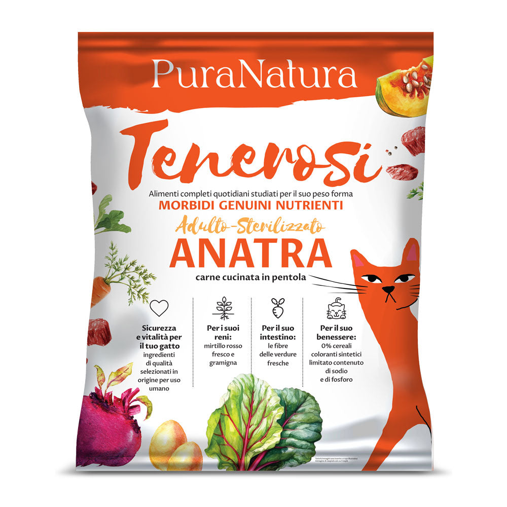 TENEROSI GATTO ANATRA