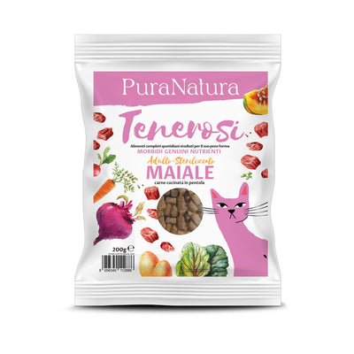 TENEROSI GATTO MAIALE