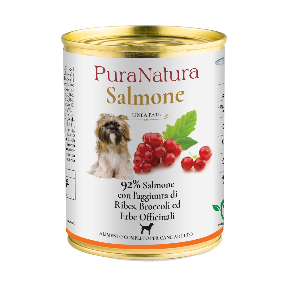 PATÉ ADULT SALMONE RIBES