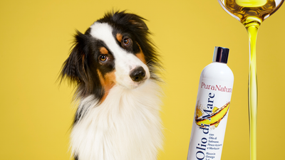 Omega 3 (e non solo) per cani e gatti: i grassi buoni che fanno davvero la differenza