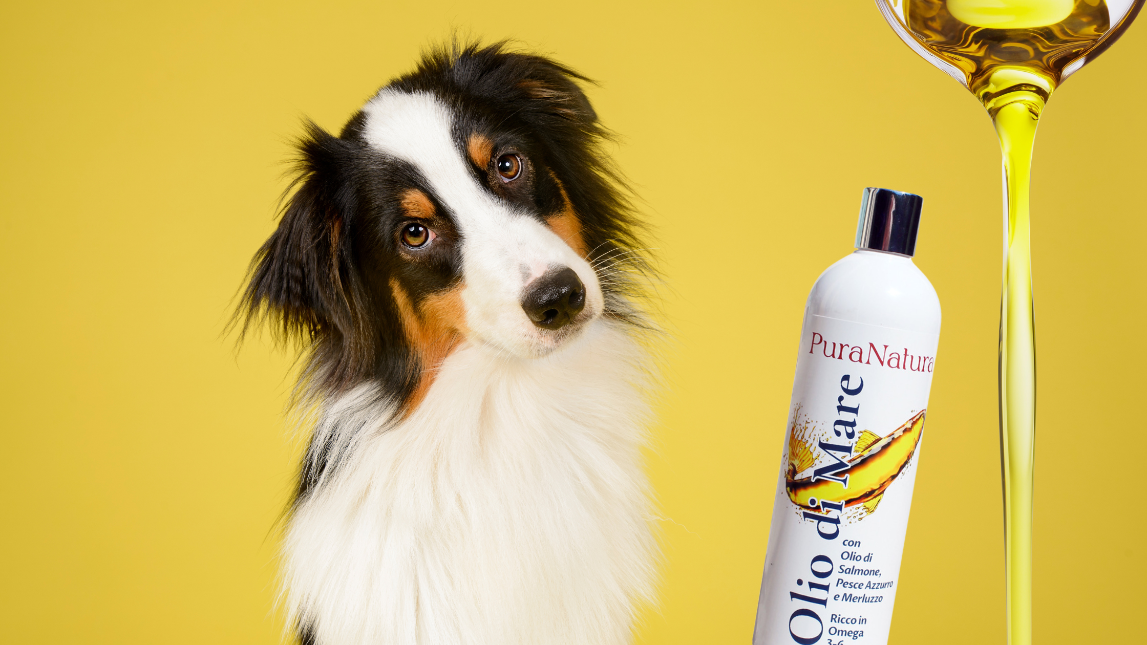 Omega 3 (e non solo) per cani e gatti: i grassi buoni che fanno davvero la differenza