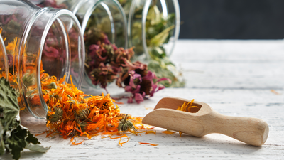 Erbe officinali per i cani e gatti: perché le Erbemelle fanno davvero la differenza