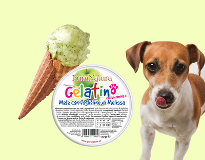Gelato per Cani Naturale: Il Gelatino Pura Natura che gli fa bene