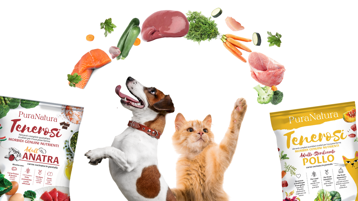 Tenerosi vs Crocchette: perché sempre più proprietari scelgono i Tenerosi per cani e gatti