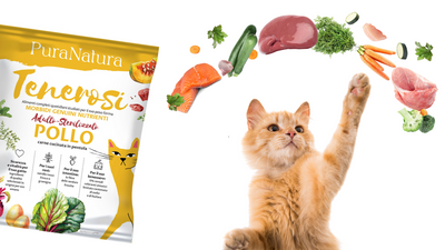 I 3 consigli di Pura Natura per passare ai Tenerosi Gatto!