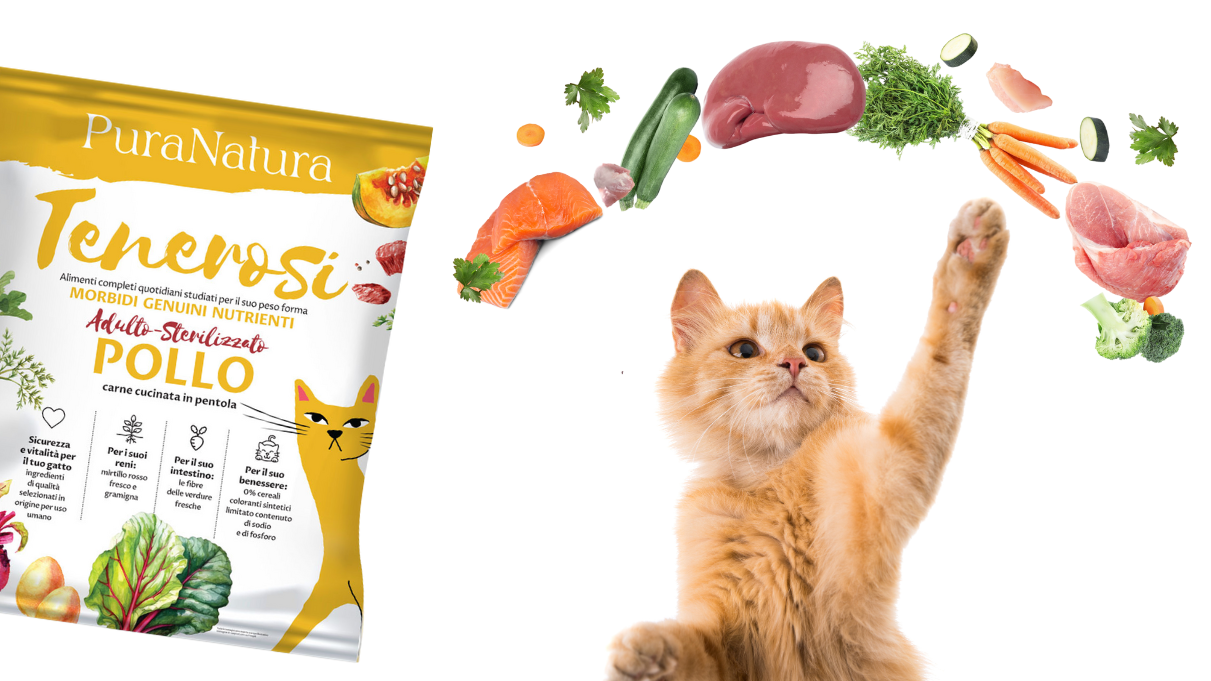 I 3 consigli di Pura Natura per passare ai Tenerosi Gatto!