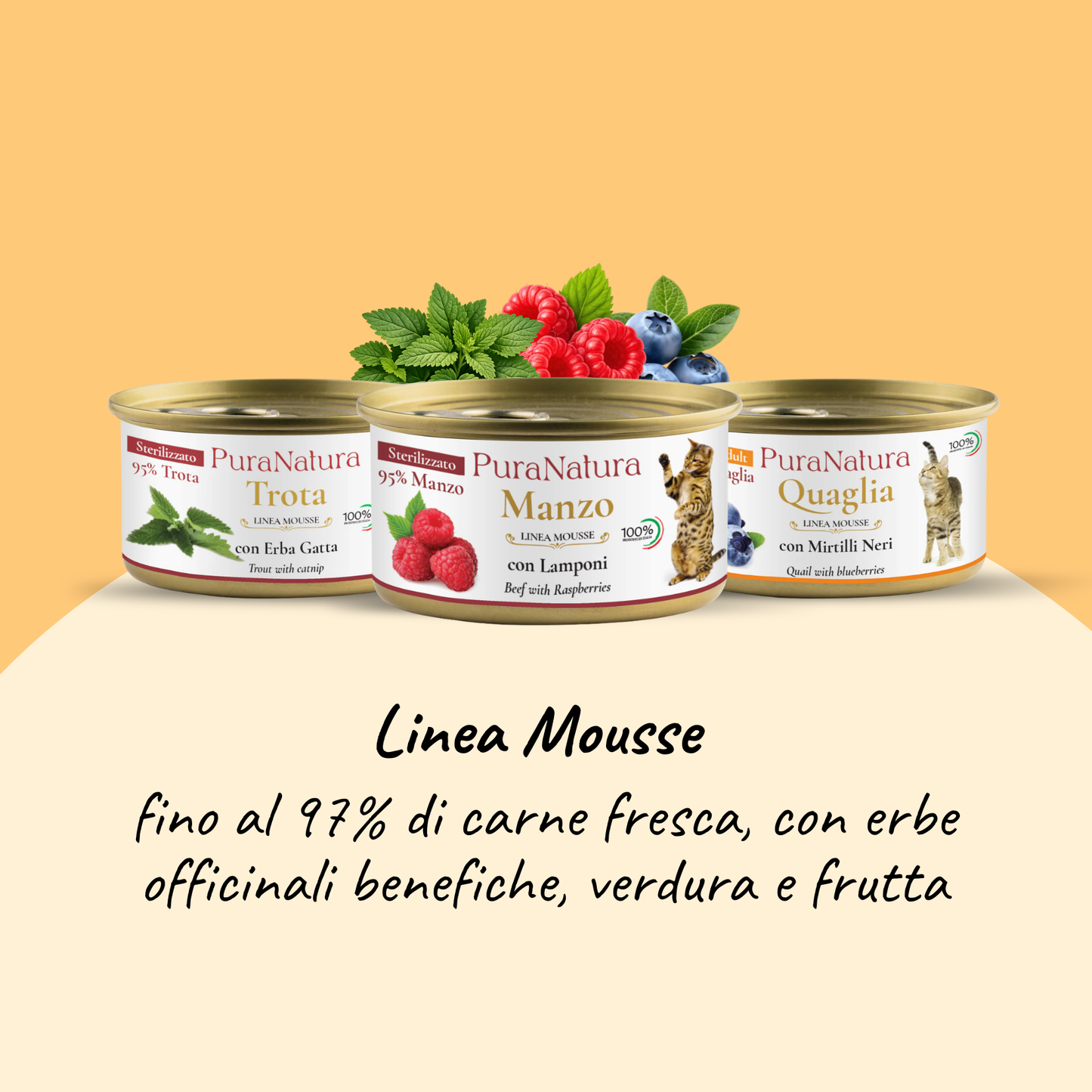 BOX di Benvenuto MIAO - scopri Pura Natura!