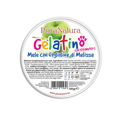 GELATINO ALLA MELA - Gelato per Cani Naturale