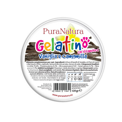 GELATINO ALLA VANIGLIA - Gelato per Cani