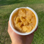 GELATINO ALLA MELA - Gelato per Cani Naturale