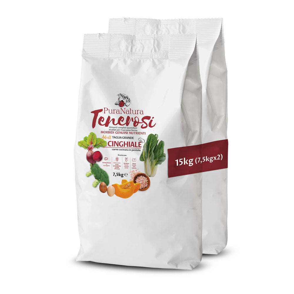 TENEROSI CINGHIALE