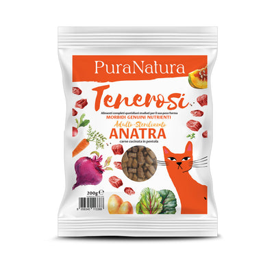 TENEROSI GATTO ANATRA