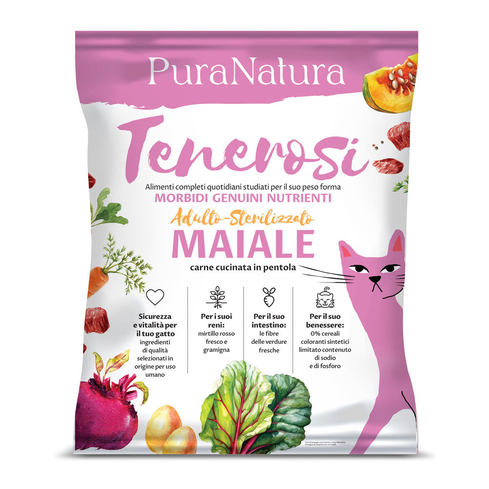TENEROSI GATTO MAIALE